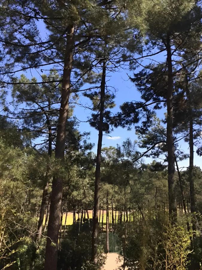 Вилла Un Nid Dans La Pinede Лакано Экстерьер фото